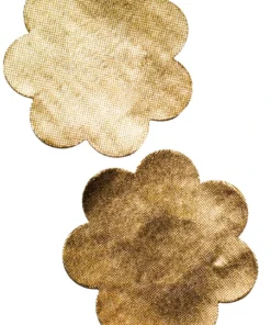 GE Apparel Metallic Gold Petal Nipple Pasties