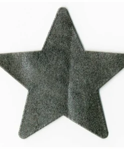 Entrenue Night Fever Dark Silver Star Pasties
