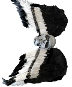 CRP Accessories Dark Angel Wings