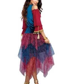 Dreamgirl Sexy Halloween Costumes Fortune Teller Costume