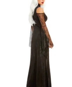 Dreamgirl Black Widow Spider Costume