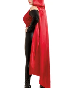 Dreamgirl Plus Size Seductive Red Costume