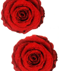 NevaNude Glitter Red Rose Nipple Pasties Lingerie