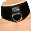 Funk Plus D Ring Velvet BDSM Training Collar