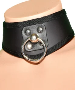Funk Plus Lingerie D Ring Leather BDSM Training Collar