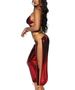 Leg Avenue Ruby Desert Princess Costume 7 Leg Avenue Ruby Desert Princess Costume