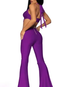 Leg Avenue Sexy Halloween Costumes Purple Pop Star Costume