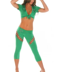 Nom De Plume Sexy Lucky Charmer Costume Fairy Costumes