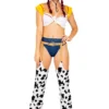 Roma Sexy Halloween Costumes Playful Cowgirl Costume