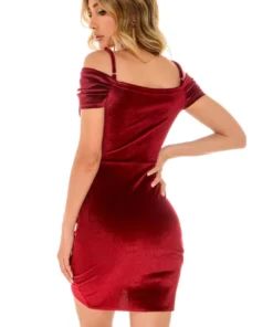 3Wishes Ruched Velvet Mini Dress 13 3Wishes Ruched Velvet Mini Dress